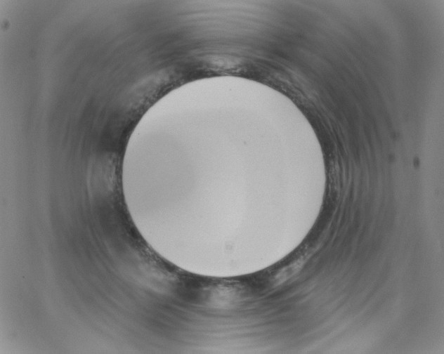 X0000062910412200602031902