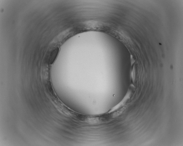 X0000062910413200602031902