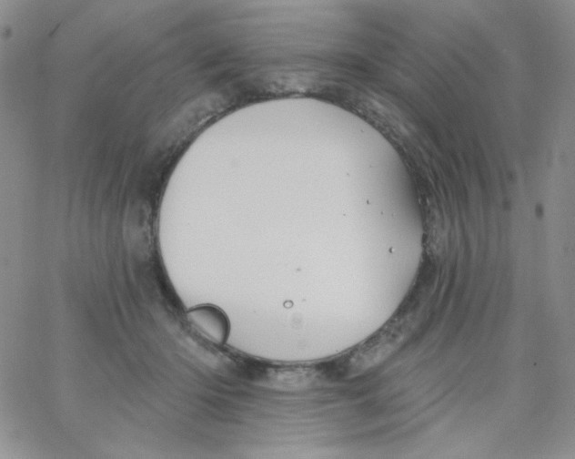 X0000062910414200602031902