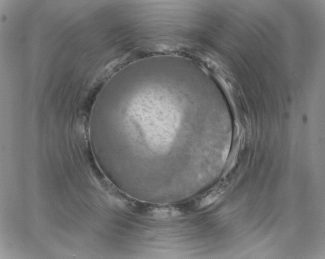 X0000062910415200602031902