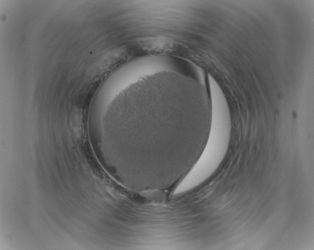 X0000062910416200602031902