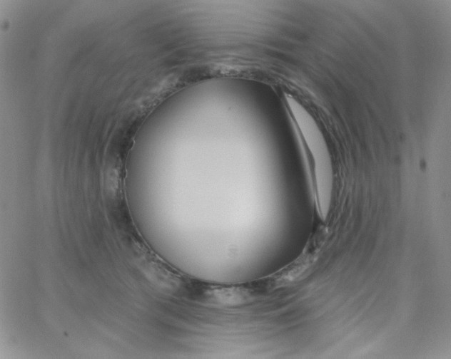 X0000062910417200602031902