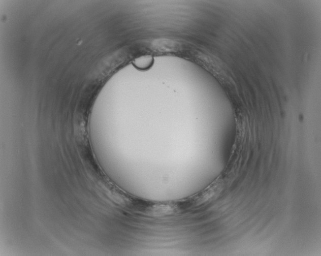 X0000062910418200602031902