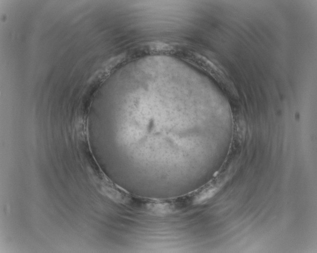 X0000062910419200602031902