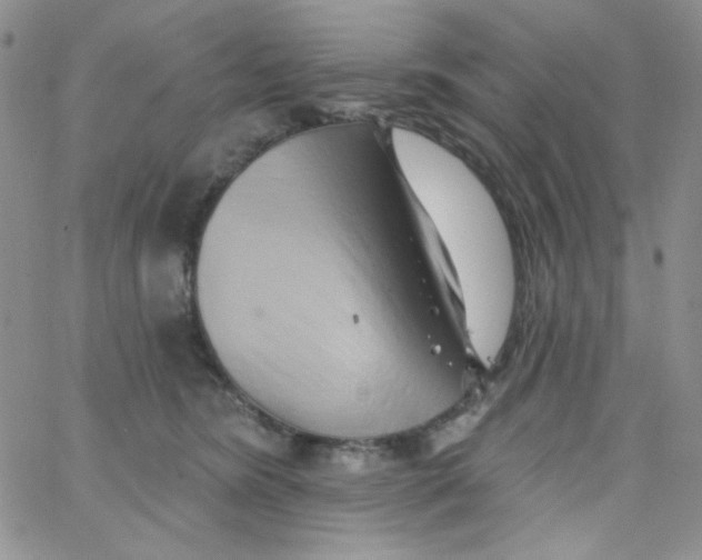 X0000062910420200602031902