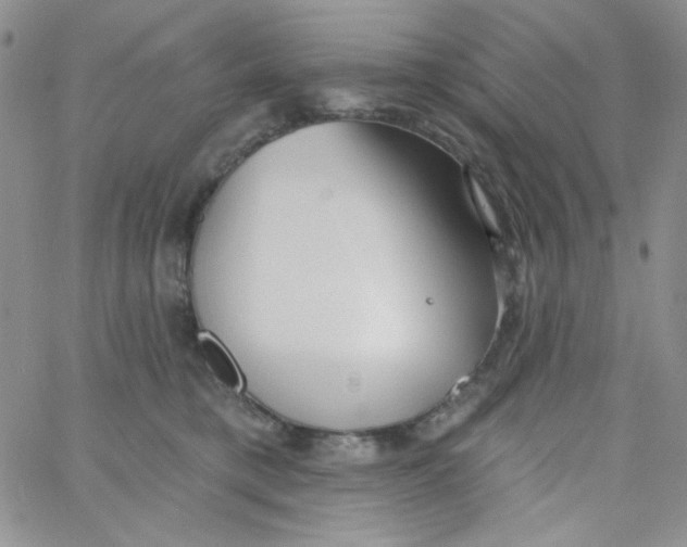 X0000062910421200602031902