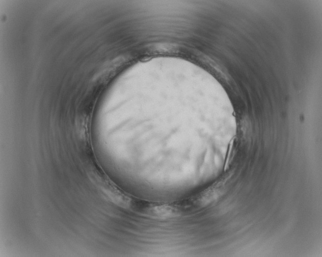 X0000062910423200602031902