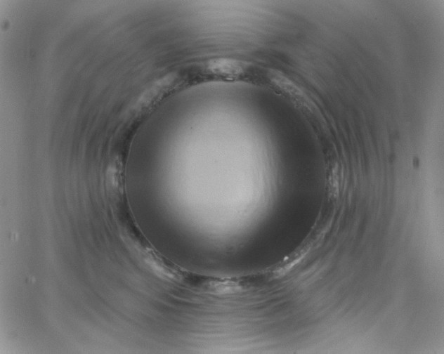 X0000062910424200602031902