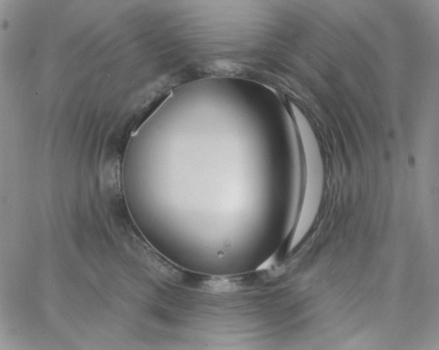 X0000062910425200602031902