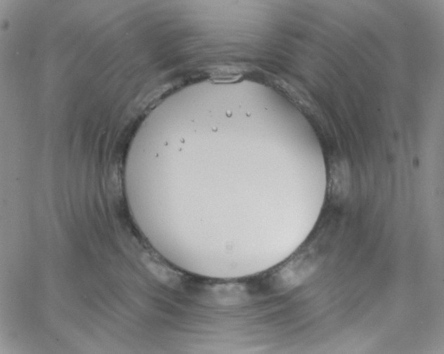 X0000062910426200602031902