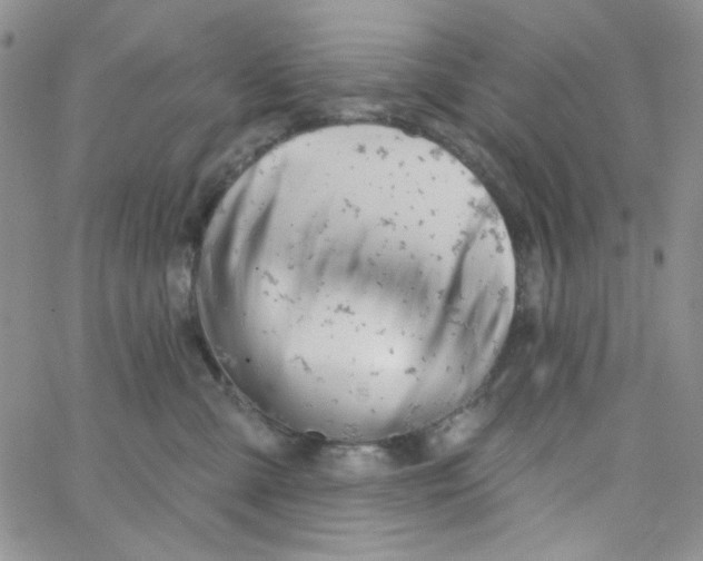 X0000062910427200602031902