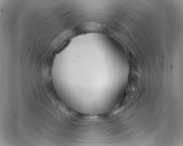 X0000062910428200602031902