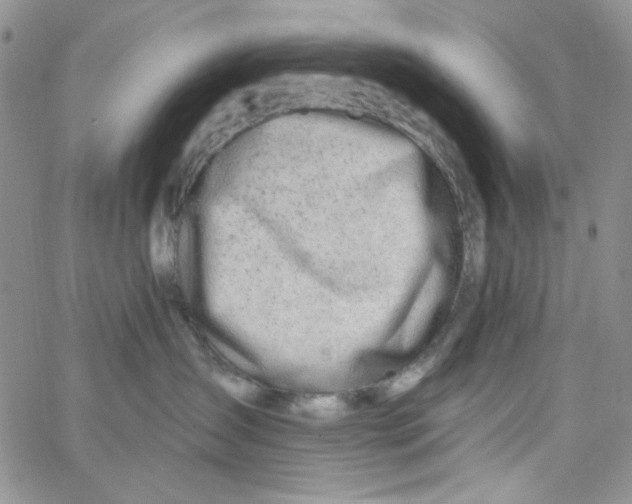 X0000062910431200602031901