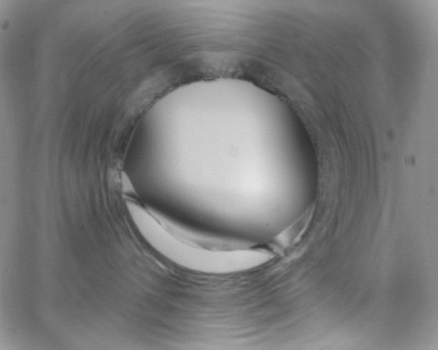 X0000062910432200602031901