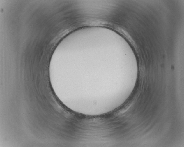 X0000062910433200602031901