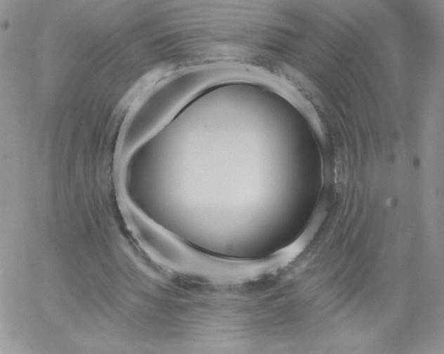 X0000062910436200602031901