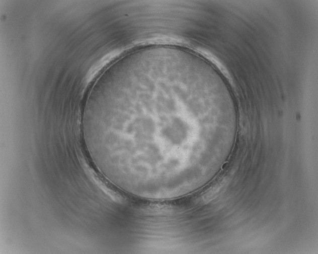 X0000062910437200602031901