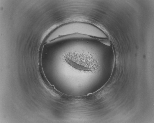 X0000062910438200602031901