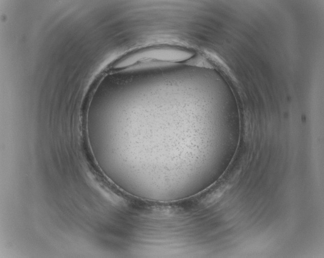 X0000062910439200602031901