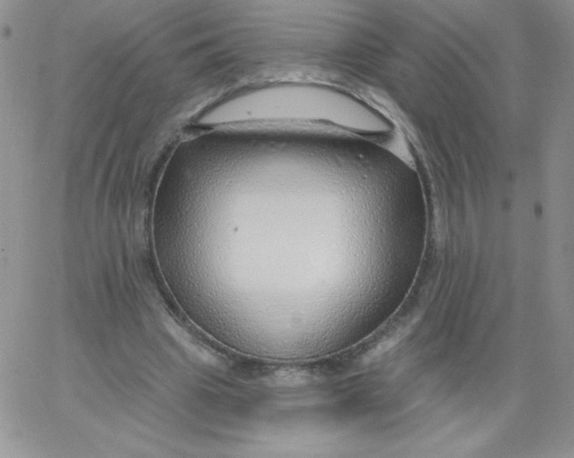 X0000062910441200602031901