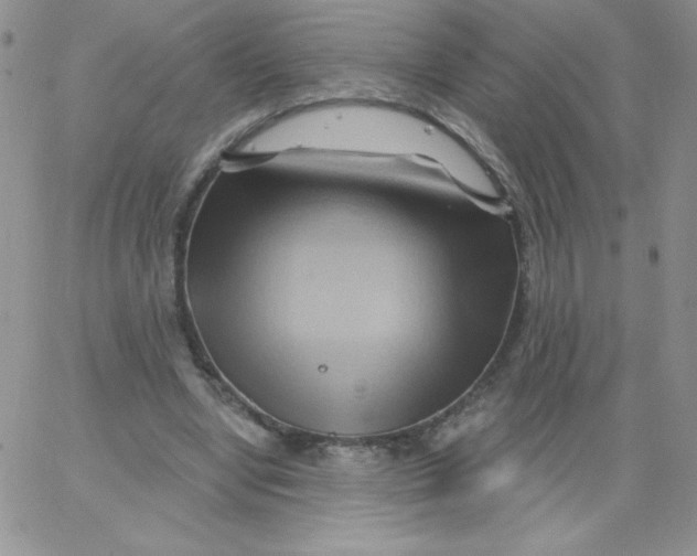 X0000062910442200602031901