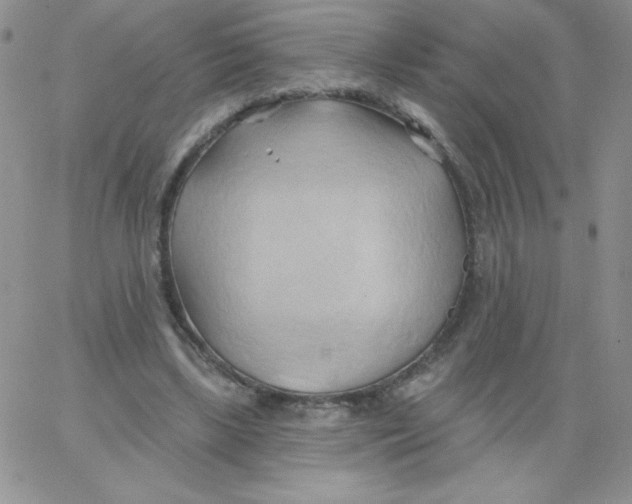 X0000062910443200602031901