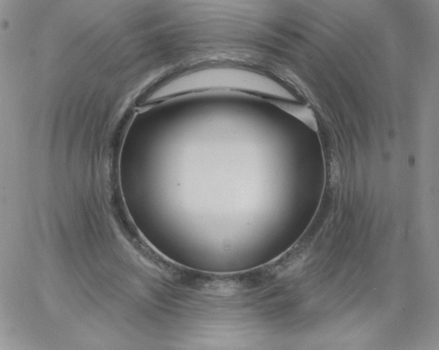 X0000062910444200602031901