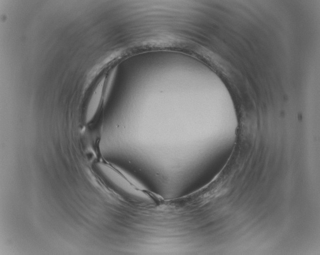 X0000062910446200602031901