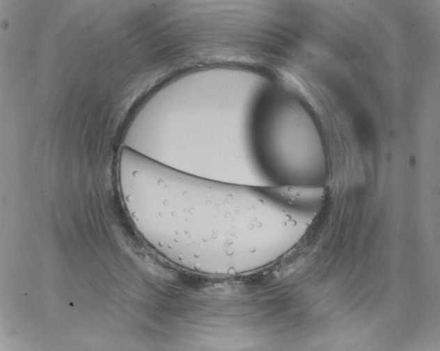 X0000062910447200602031901