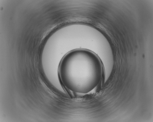 X0000062910448200602031901