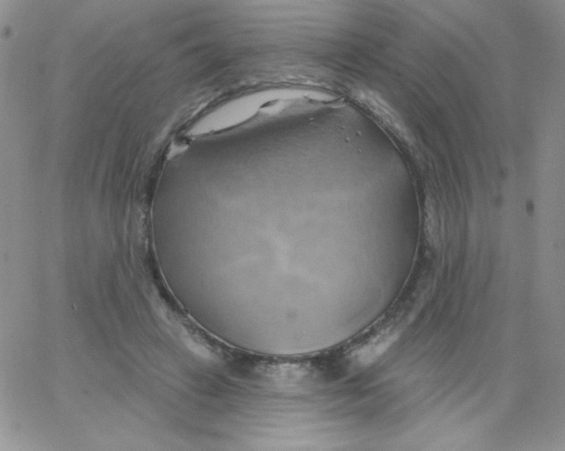 X0000062910449200602031901