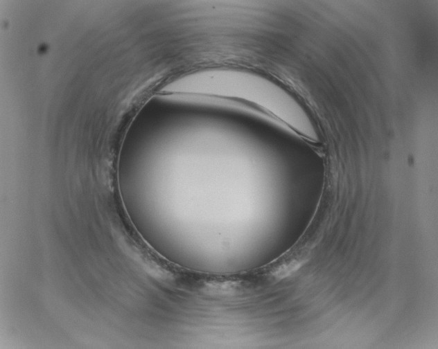 X0000062910450200602031901