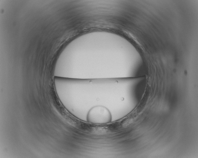 X0000062910451200602031901