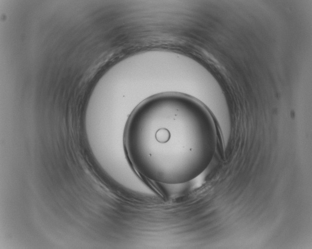 X0000062910452200602031901