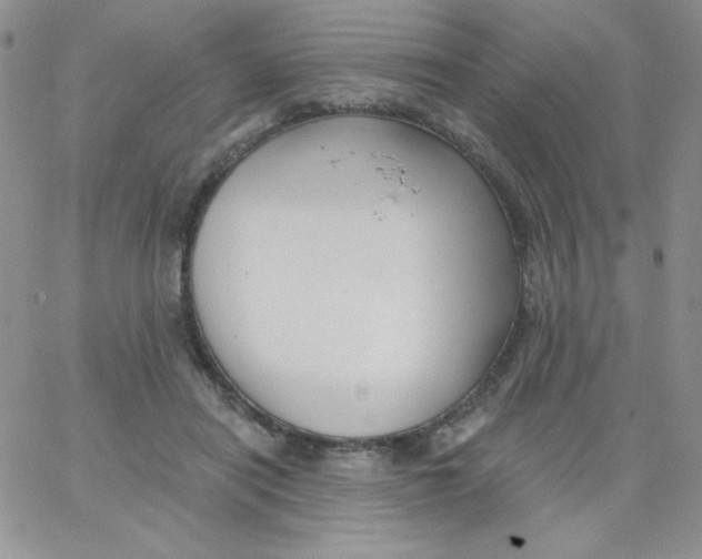 X0000062910454200602031901