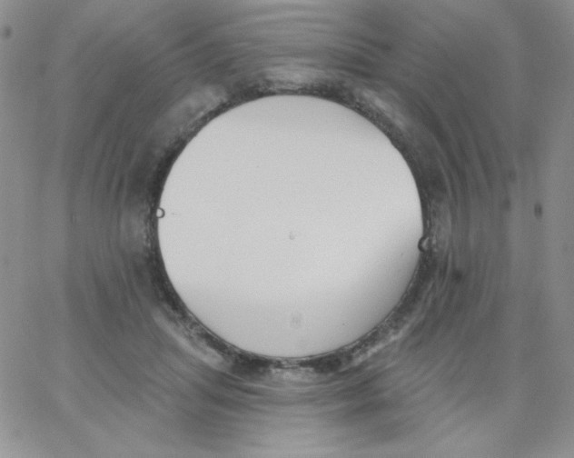 X0000062910455200602031901