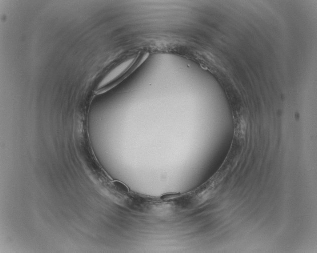 X0000062910456200602031901