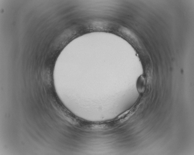 X0000062910457200602031901