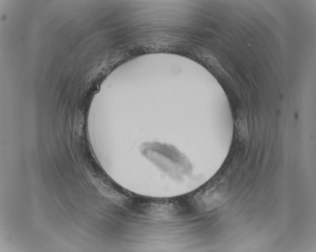 X0000062910458200602031901