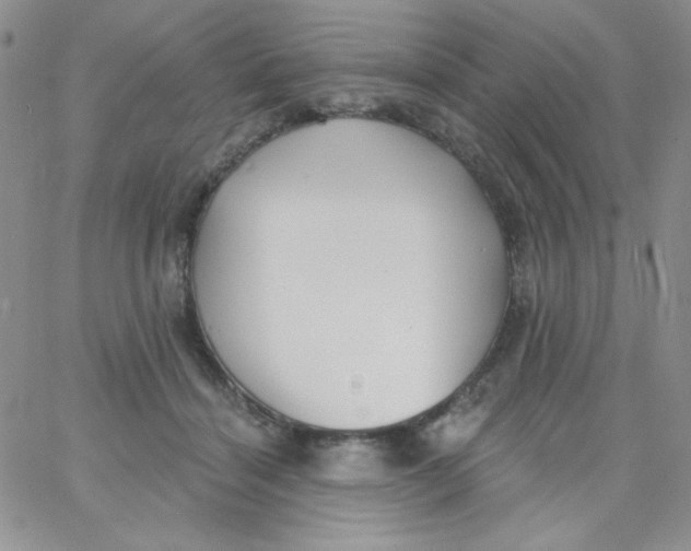 X0000062910460200602031901