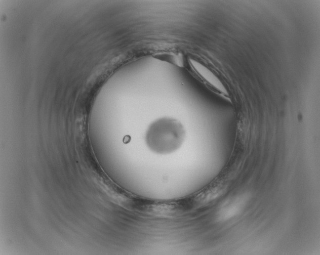 X0000062910462200602031901