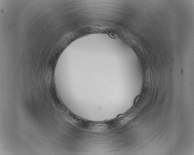 X0000062910463200602031901