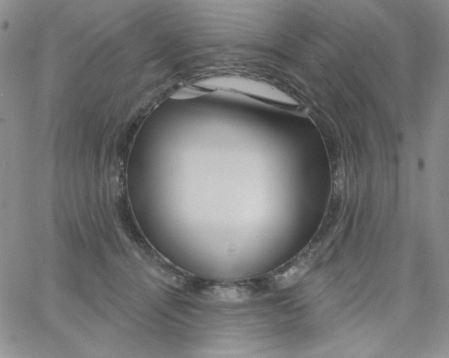 X0000062910464200602031901