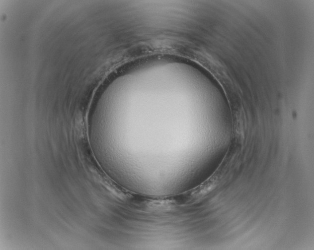 X0000062910465200602031901