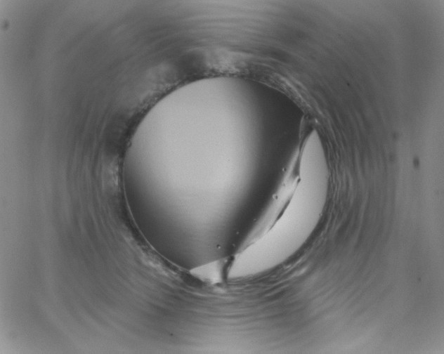 X0000062910466200602031901