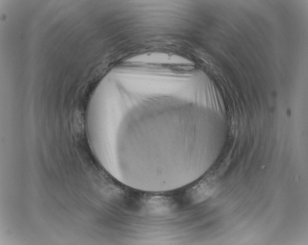 X0000062910467200602031901