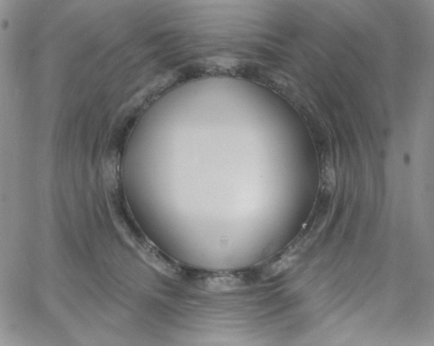 X0000062910468200602031901