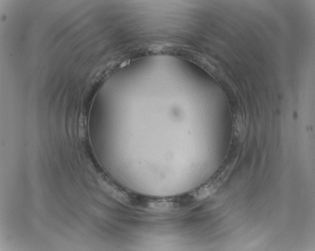 X0000062910470200602031901