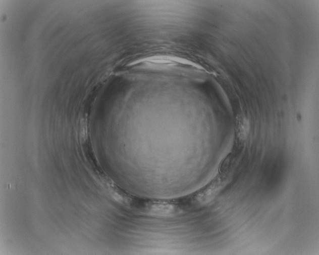 X0000062910471200602031901