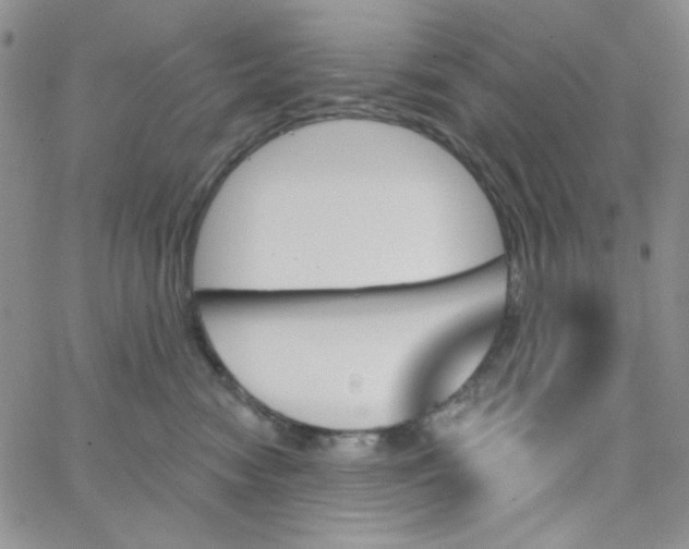 X0000062910474200602031901